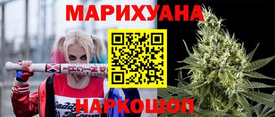 гашик Кингисепп