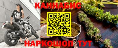 гашик Кингисепп