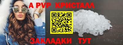 гашик Кингисепп
