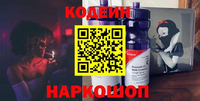 гашик Кингисепп
