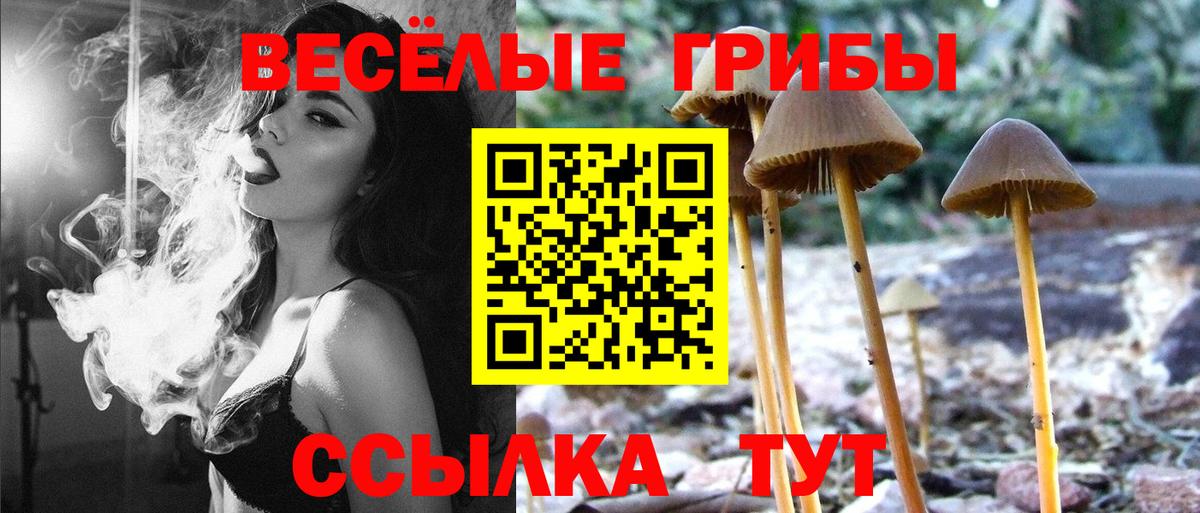 Котовск  Псилоцибиновые грибы прущие грибы  Вход с VPN  Галлюциногенные грибы MAGIC MUSHROOMS 